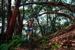 BIB: 
                            <button type="button" onclick="openModal(26346717)" class="btn btn-primary btn-sm float-right btn-popup" data-toggle="modal" data-target=".modal-high-quality">
                        <i class="fas fa-shopping-cart"></i> Add to Cart
                    </button>
                                            <button type="button" onclick="isThisMe(26346717, true)" class="btn btn-success btn-sm float-right btn-popup btn-isme hidden" data-toggle="tooltip" data-placement="bottom" title="นี่คือรูปของคุณใช่ไหม คลิกที่นี่เพื่อเอาเข้าอัลบั้ม">
                        <i class="fas fa-plus"></i> Add to album
                    </button>
                    <button type="button" onclick="isThisMe(26346717, false)" class="btn btn-warning btn-sm float-right btn-popup btn-isnotme hidden">
                        <i class="fas fa-ban"></i> Remove from album
                    </button>